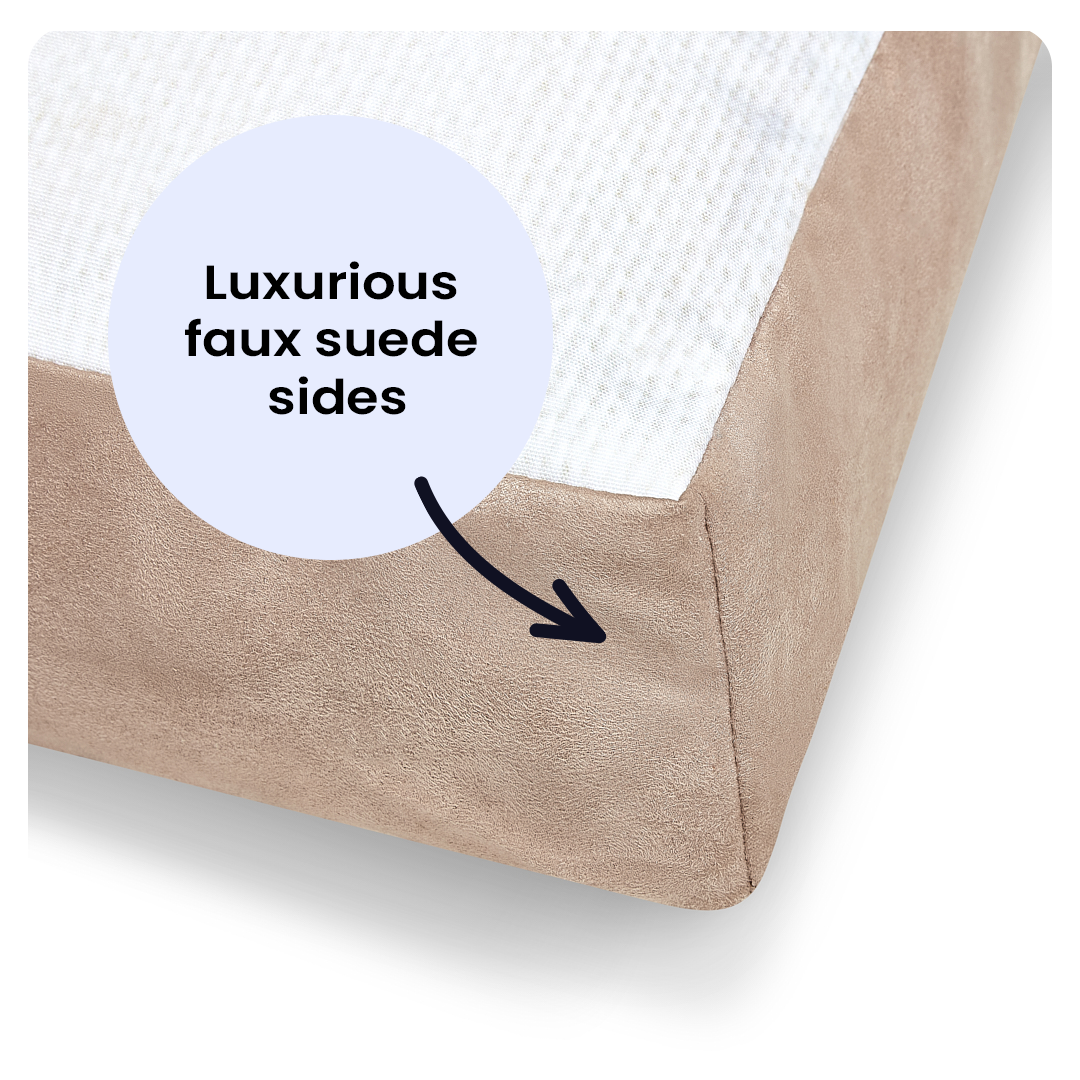 Christine Varley Luxury Printed Dog Bed - Cav King Charles Red  Barking Beds