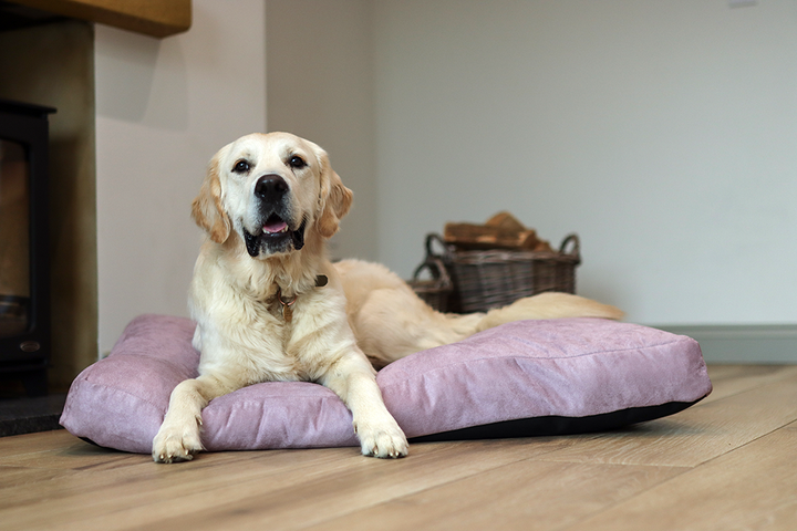 Luxury Faux Suede Dog Bed - Mauve  Barking Beds