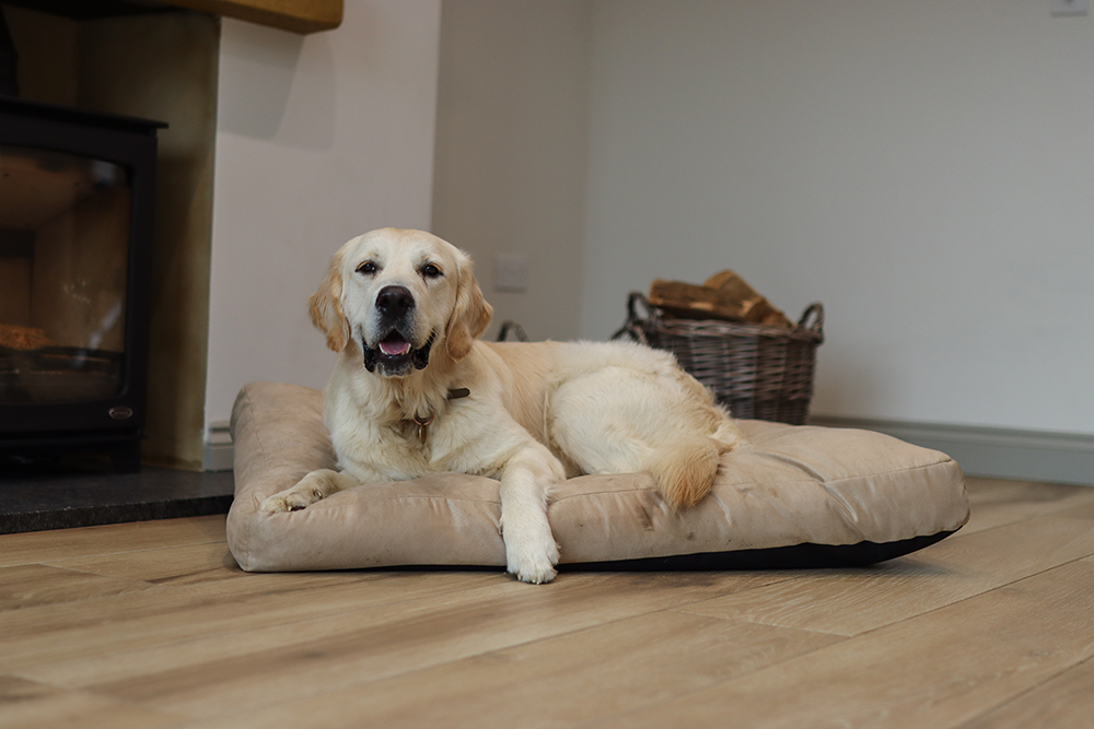 Luxury Faux Suede Dog Bed - Stone  Barking Beds