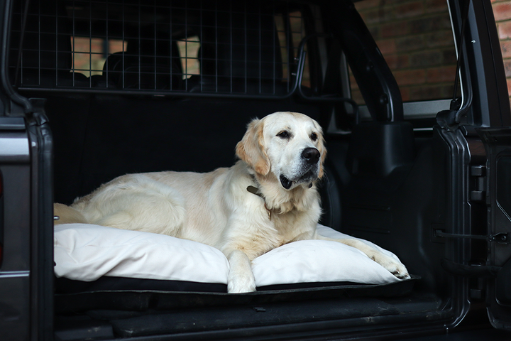 Canvas Fabric Dog Bed  Barking Beds