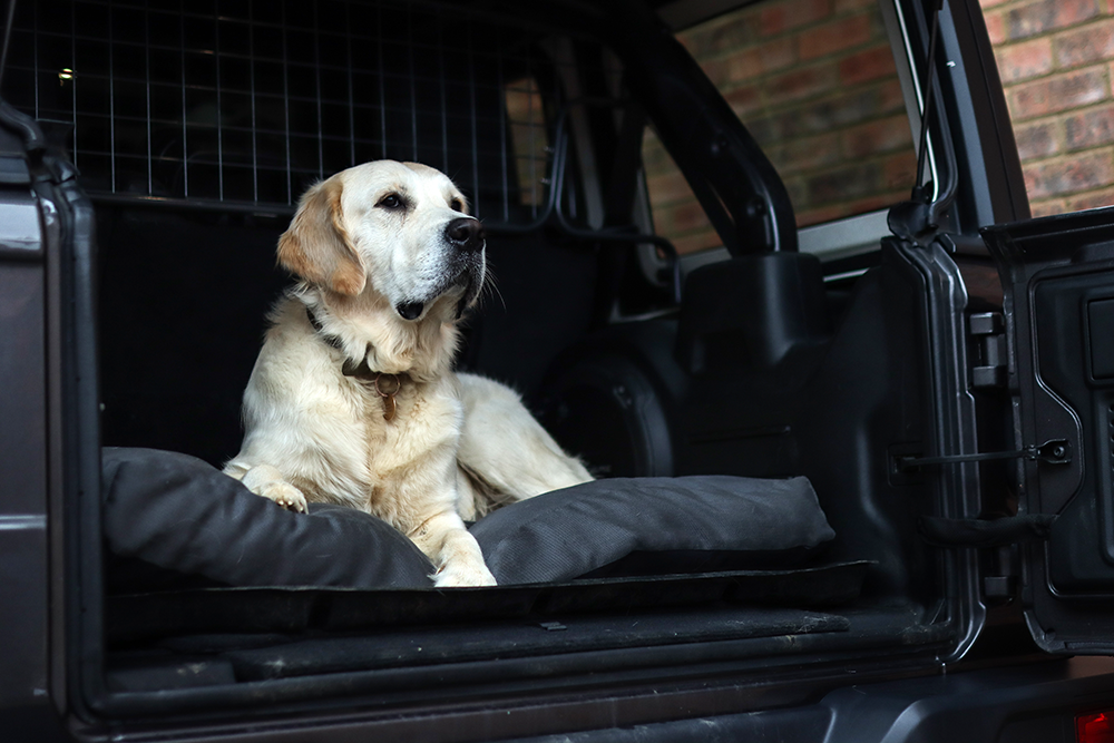 Charcoal Fabric Dog Bed  Barking Beds