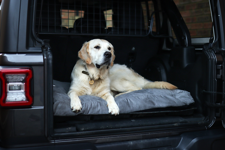 Luxury Faux Suede Dog Bed - Grey  Barking Beds