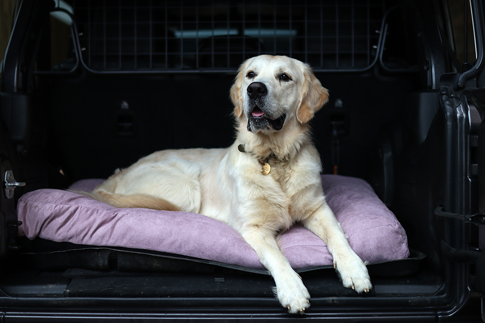 Luxury Faux Suede Dog Bed - Mauve  Barking Beds