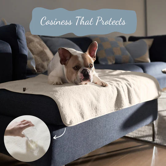 Pup & Kit - PetProtector® Waterproof Pet Blanket - Natural Blankets Pup & Kit