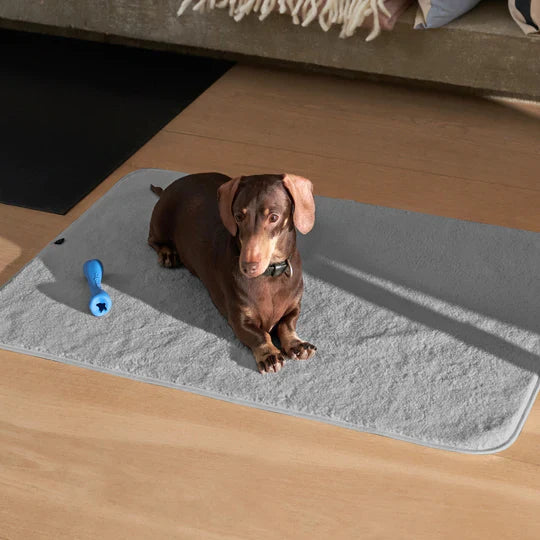 Pup & Kit - PetProtector® Waterproof Pet Blanket - Grey Blankets Pup & Kit