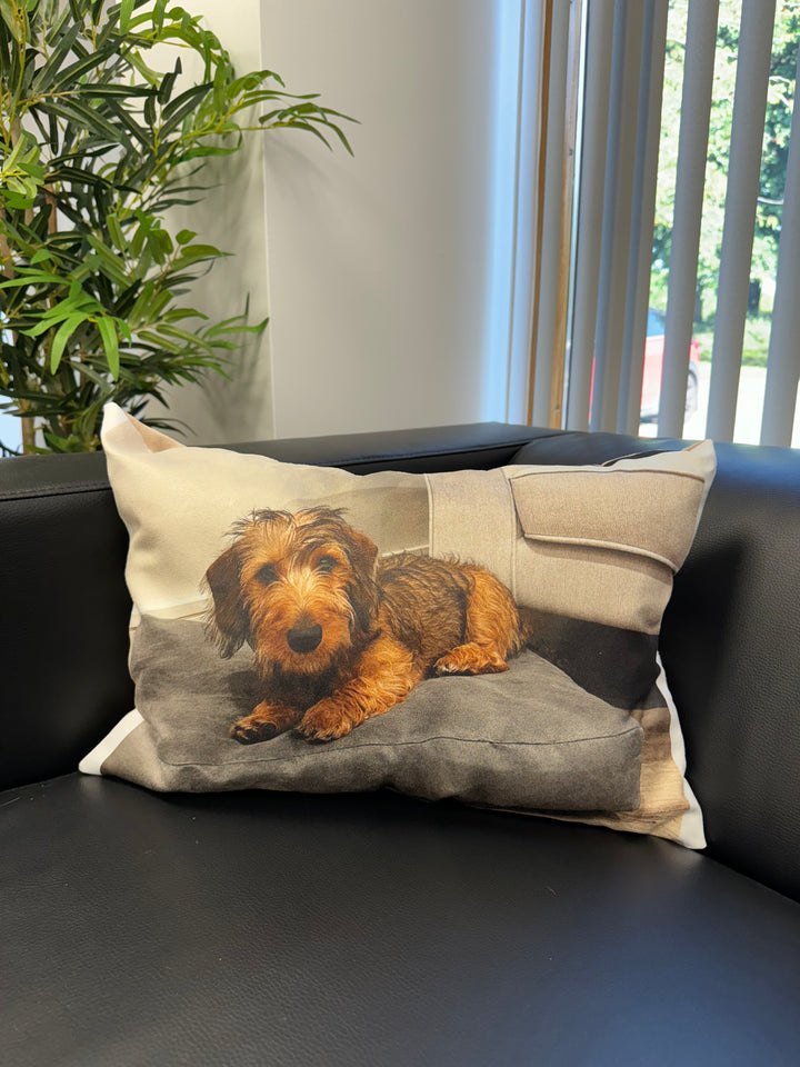 Custom Dog Photo Cushion - Rectangle Shaped Cushions Prodigi