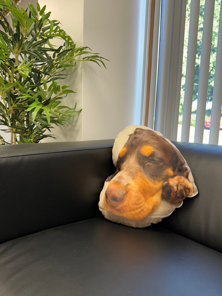 Custom Dog Photo Cushion - Heart Shaped - Faux Suede Cushions Prodigi