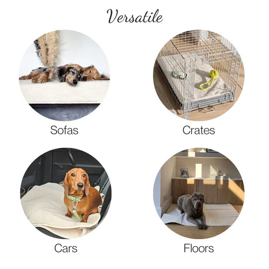 Pup & Kit - PetProtector® Waterproof Pet Blanket - Grey Blankets Pup & Kit