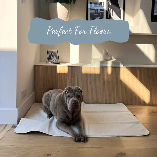 Pup & Kit - PetProtector® Waterproof Pet Blanket - Natural Blankets Pup & Kit