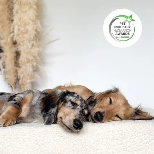 Pup & Kit - PetProtector® Waterproof Pet Blanket - Natural Blankets Pup & Kit