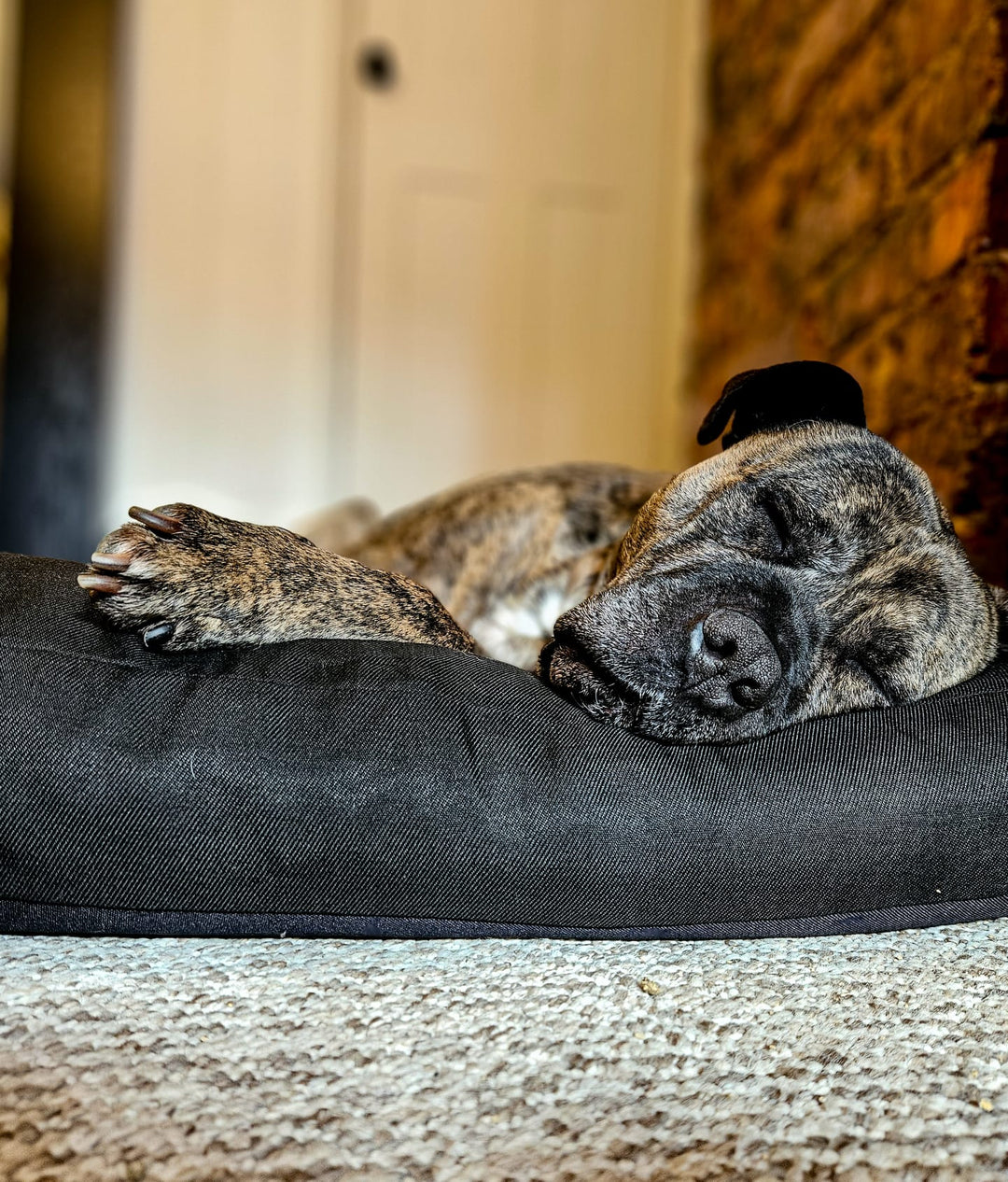 Black Fabric Dog Bed  Barking Beds