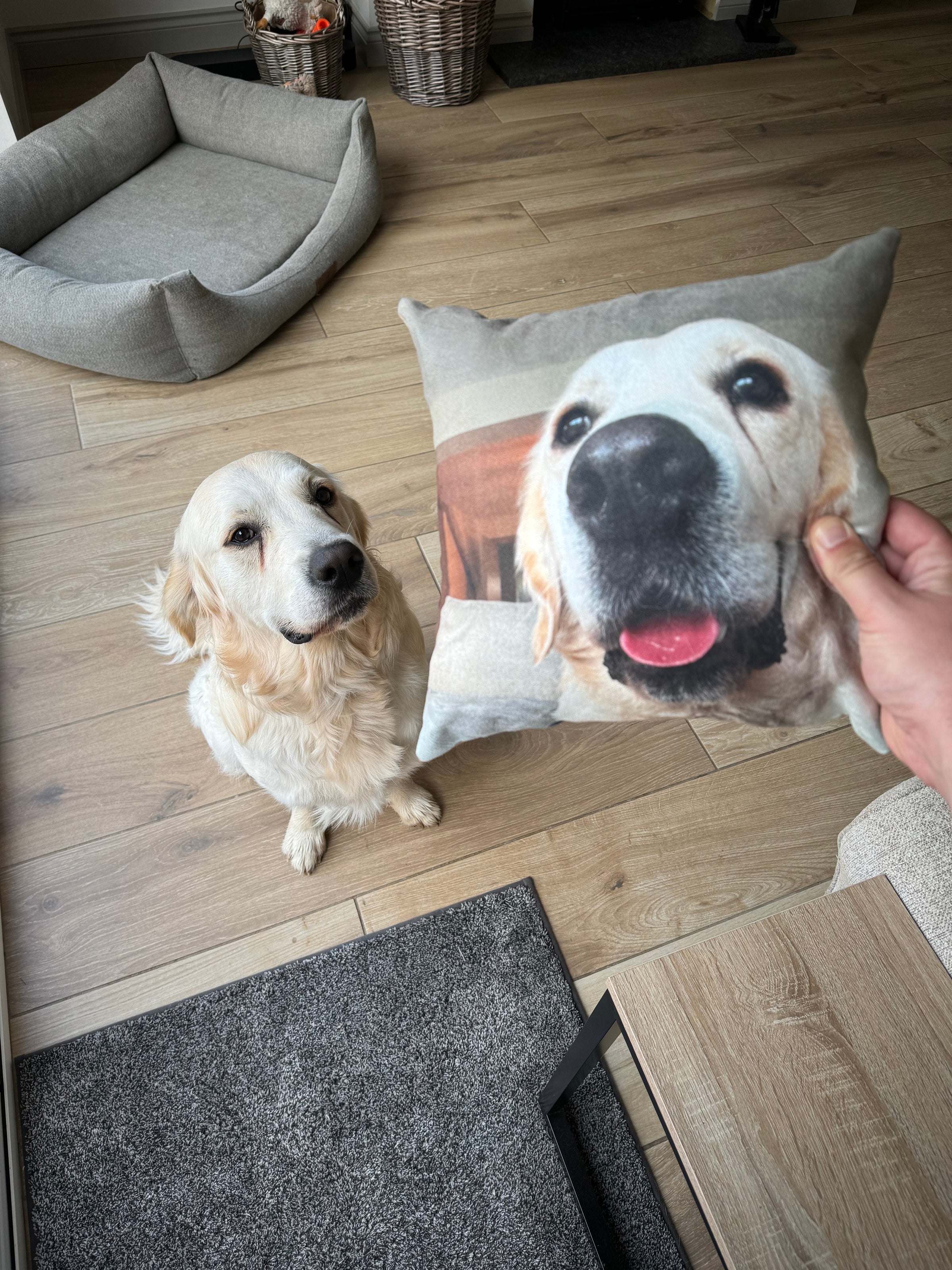 Dog Photo Cushions