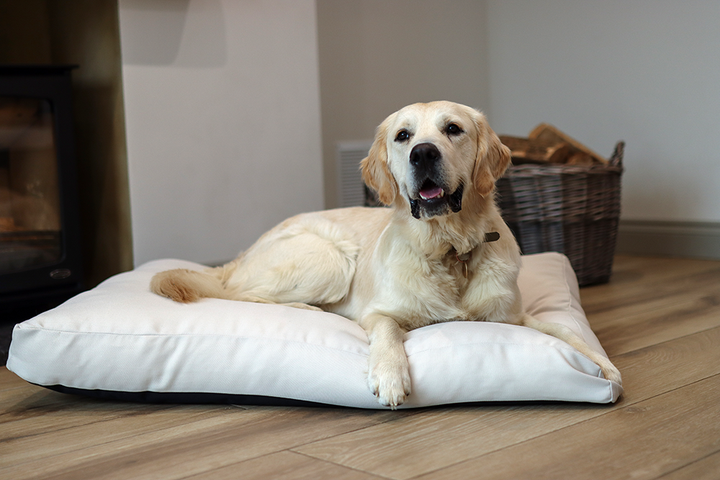 Canvas Fabric Dog Bed  Barking Beds   