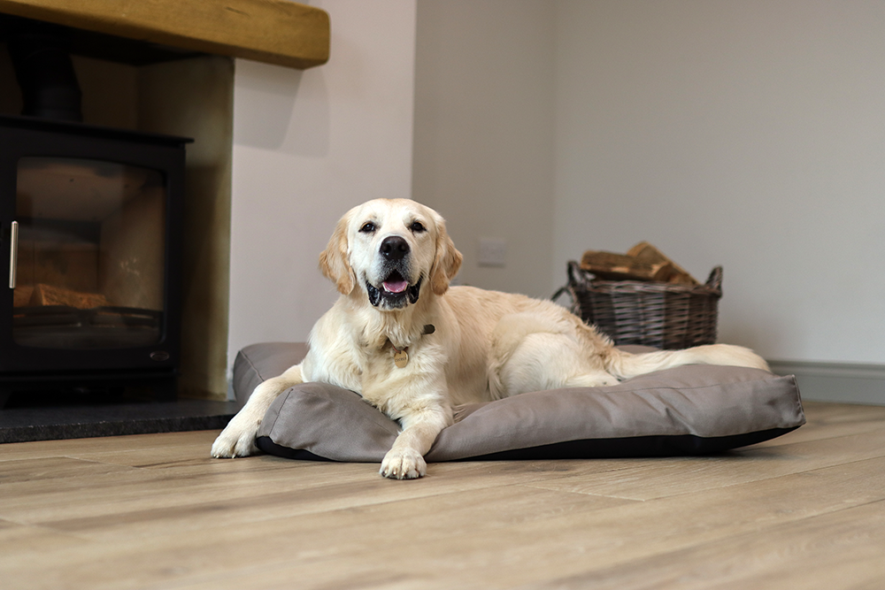 Taupe Fabric Dog Bed  Barking Beds   