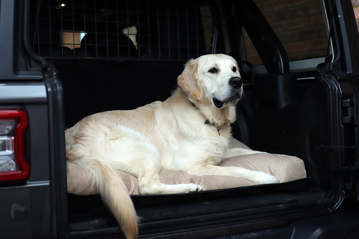 Luxury Faux Suede Dog Bed - Stone  Barking Beds   