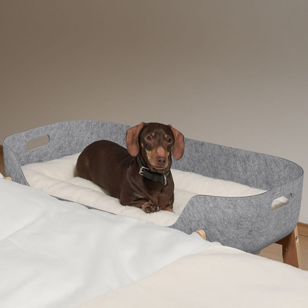 Pup & Kit - PetNest® Bedside Pet Bed - Natural Dog Beds Pup & Kit   