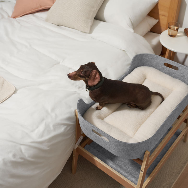 Pup & Kit - PetNest® Bedside Pet Bed - Natural Dog Beds Pup & Kit   