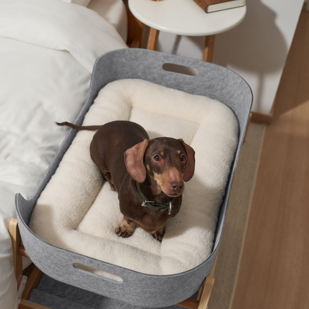 Pup & Kit - PetNest® Bedside Pet Bed - Natural Dog Beds Pup & Kit   