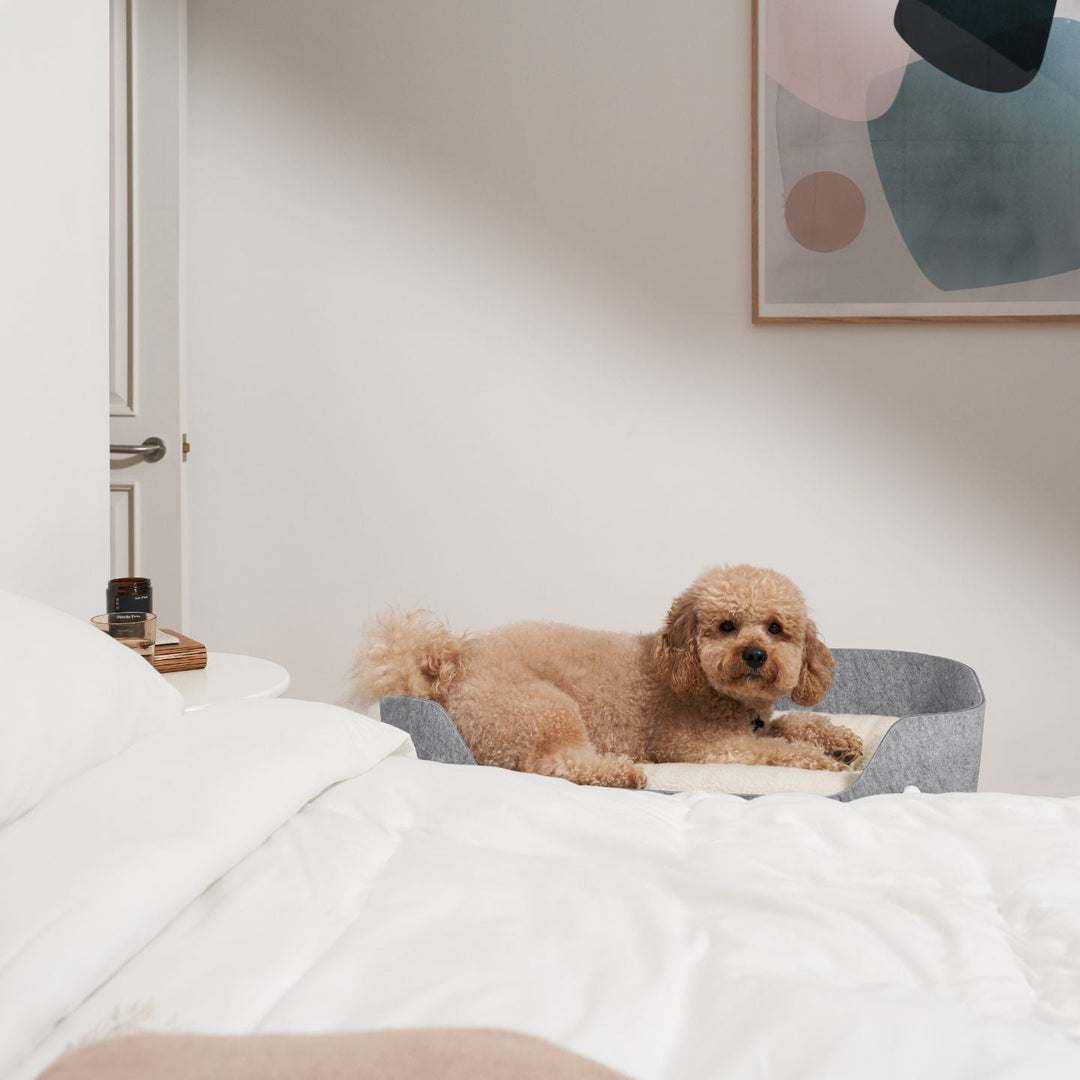Pup & Kit - PetNest® Bedside Pet Bed - White Dog Beds Pup & Kit   