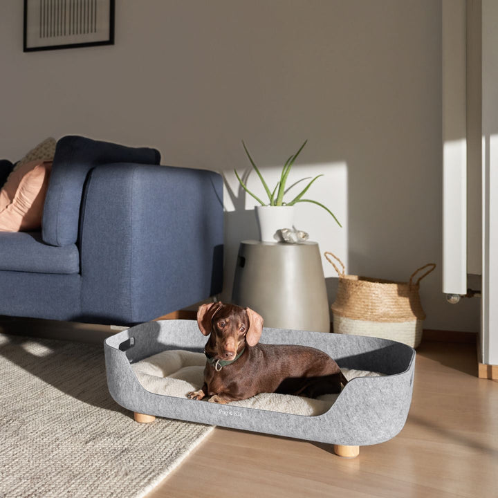 Pup & Kit - PetNest® Felt Dog Bed Dog Beds Pup & Kit   