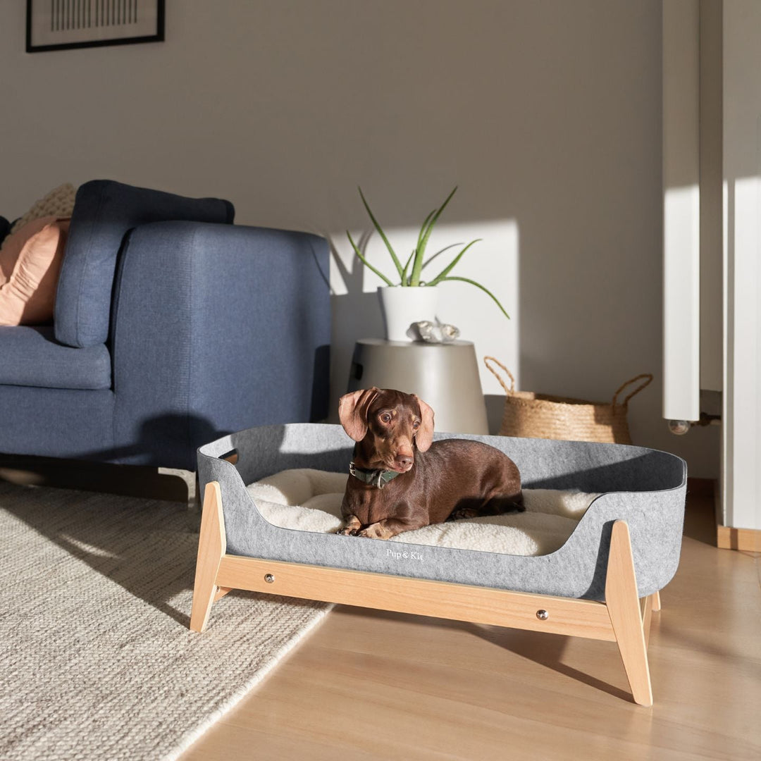 Pup & Kit - PetNest® Raised Dog Bed - Natural Dog Beds Pup & Kit   