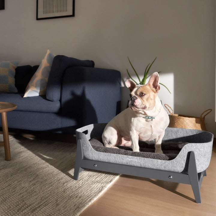 Pup & Kit - PetNest® Raised Dog Bed - Slate Grey Dog Beds Pup & Kit   