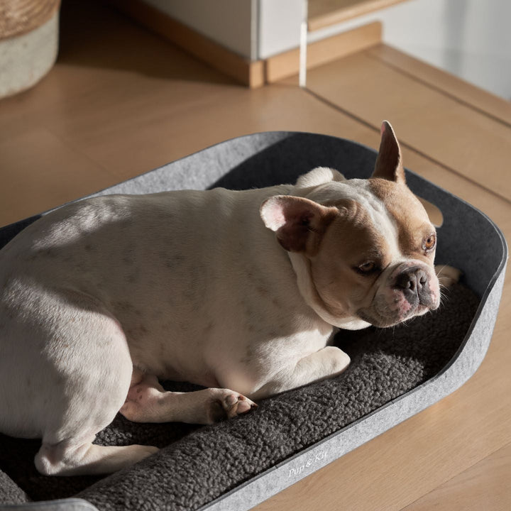 Pup & Kit - PetNest® Felt Dog Bed Dog Beds Pup & Kit   