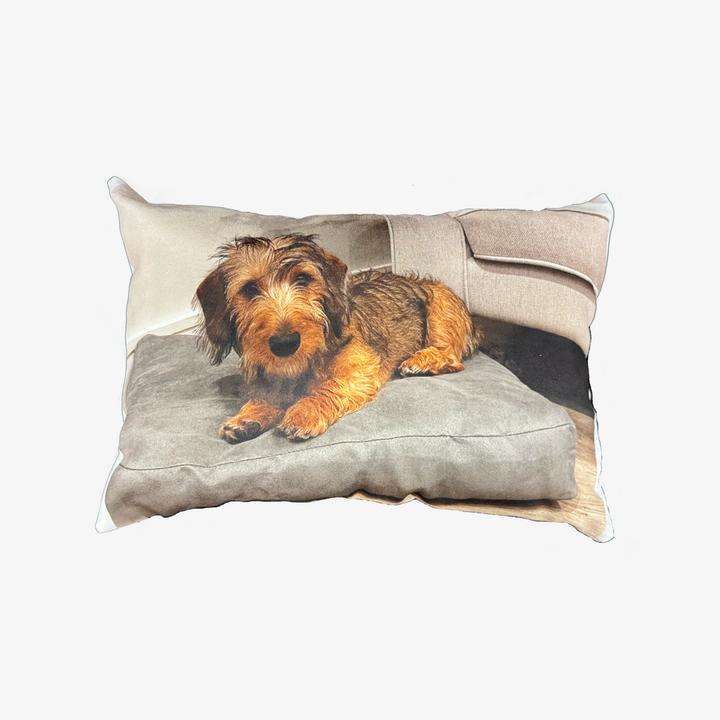 Custom Dog Photo Cushion - Rectangle Shaped Cushions Prodigi   