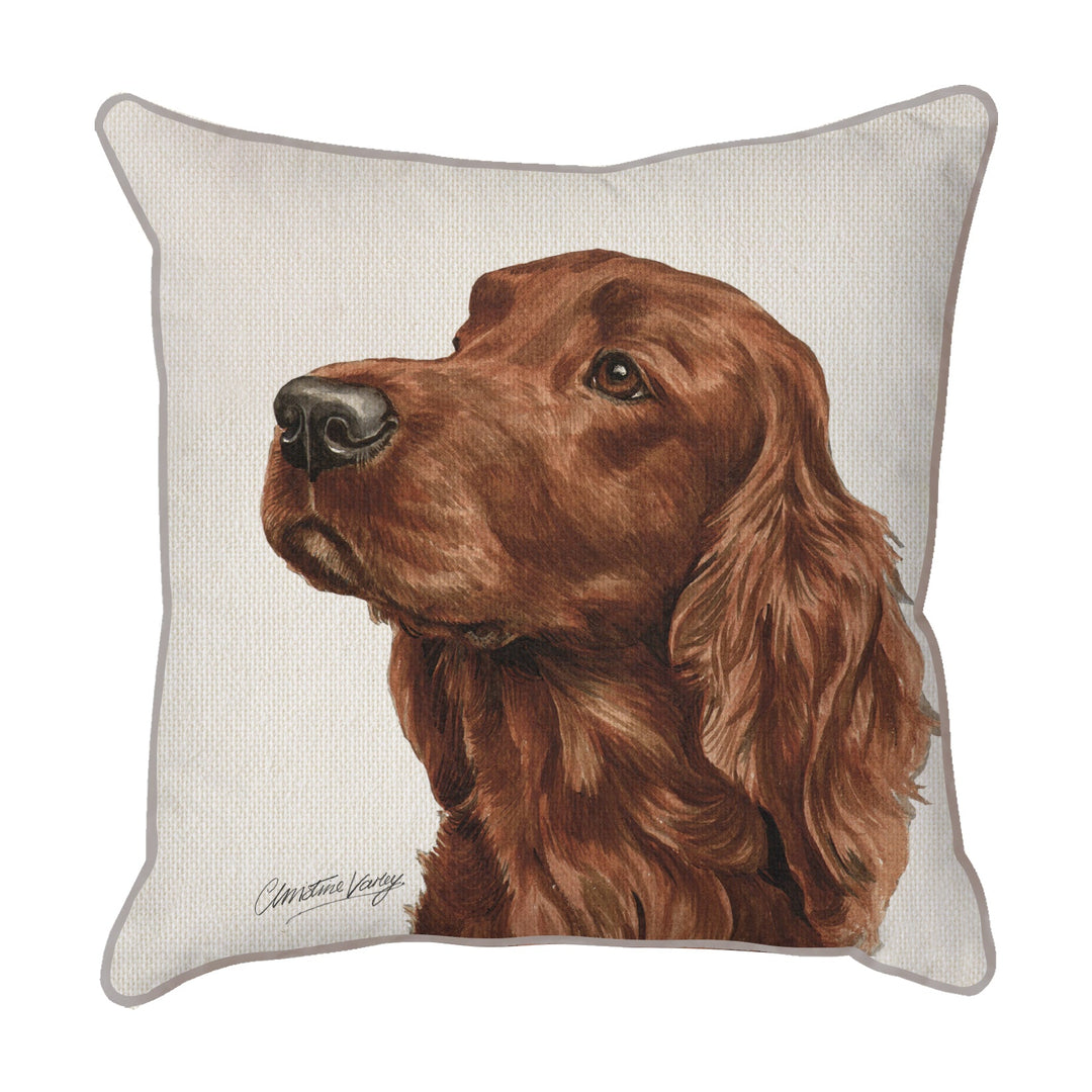 Christine Varley | Irish Setter | Dog Scatter Cushion Cushions Christine Varley   